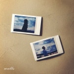 WALLS - 벅스 WALLS / 김욱, 송희란