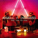 You Know - 벅스 More Than You Know / Axwell ^Ingrosso(악스웰^인그로소...
