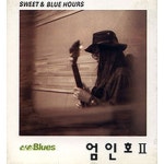 Sweet & Blue Hours - 벅스 Sweet & Blue Hours / 엄인호