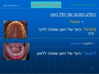 מונחי יסוד,גבולות הפה slideshare