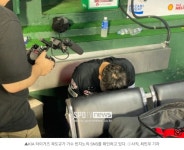 더쿠 - 가수 빈지노의 열성 팬이라는 곽도규. 빈지노가 자신이 투구하는 모습이 담긴 영상을 SNS에 게시한 ...