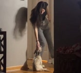 평소 강아지에게 잘 해줘야 하는 진짜 이유…본 사람 모두가 눈물 쏟아낸 영상