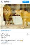 헐리우드 - 리한나 하산이랑 ㅈㄴ 잘어울렸긴 함 (약후)
