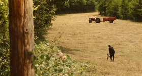 익스트림무비 - 디비디) 이 세상에서 가장 행복한 사나이