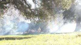 액션영화배우하세요 - 정국 카테고리