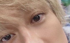 캡쳐하려고 가까이 오기만을 기다리면서 봄ㅋㅋㅋ - 칸쟈니∞ 카테고리