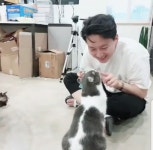 노식님 tmi 푼다 - 성우 카테고리