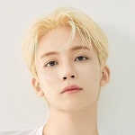 와 와 - 세븐틴(SEVENTEEN) 카테고리