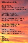 아뮤즈 소속 배우 하시모토 아츠시 인스타 스토리 - 재팬 카테고리