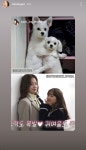 전체 게시판 - 멸망 지나 역할 배우분 스토리