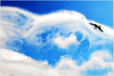 (자동재생) 타카하시 히토미 - 靑空のナミダ - 일본음악 갤러리 (자동재생) 타카하시 히토미 - 靑空のナミダ...