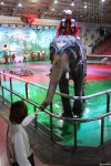 [점보빌리지]아이들이좋아하는 코끼리 쇼&코끼리 트래킹