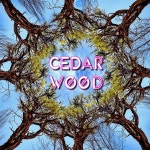 See the Wood Vol. 1 - Single by Cedarwood on Apple Music See...