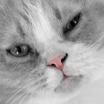 遠藤雄弥 Yuya Endo(@endo_yuya) • Instagram 사진 및 동영상