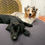 ruth & theodore(@ruthandtheo) • Instagram 사진 및 동영상