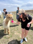 아바다 My She Was Yarn Alpacas 근처 호텔 베스트 10 - Tripadvisor 아바다 M...