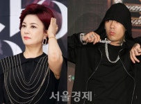 배우 김혜선·가수 도끼, 4대 보험료 체납액 9000만원 달해 | 서울경제 배우 김혜선·가수 도끼, 4대 보...