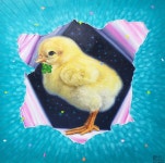 박영호 | special guest :: 오픈갤러리