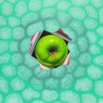 박영호 | special guest :: 오픈갤러리