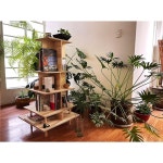 Luvina_Mobiliario(@luvina_mobiliario) • Instagram 사진 및 동영상