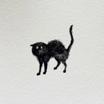 non AKANE OSHIMA(@_nontansan) • Instagram 사진 및 동영상