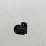 non AKANE OSHIMA(@_nontansan) • Instagram 사진 및 동영상