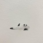 non AKANE OSHIMA(@_nontansan) • Instagram 사진 및 동영상