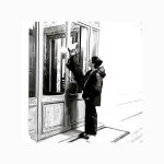 #Repost @starsof.ballet with @use.repost ・・・ ✨🌟Paquita recon...