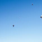 Peter Carey | Special moment watching this coyote cross a fr...