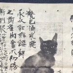 최재석 | #左手 | Instagram Instagram의 최재석님 : "#左手"