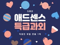 애드센스 부업 연봉 1억 달성 드마코 기술 그대로 전수 - 크몽