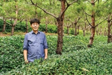 연봉 1억 대신 귀촌, 고향에 차(茶) 공방 낸 전직 은행원