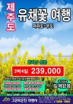 제주도 한라산 - 3월 종합일정 - 인천 산악회 정보공유 제주도 한라산