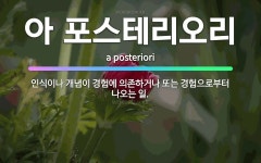 🌟아 포스테리오리: 인식이나 개념이 경험에 의존하거나 또는 경험으로부터 나오는 일. - 표준국어대사전