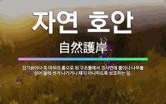 🌟자연 호안: 강기슭이나 둑 따위의 흙으로 된 구조물에서 경사면에 풀이나 나무를 심어 물에 씻겨 나가거나 ....