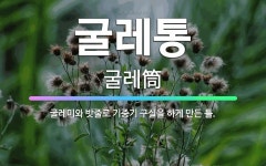 🌟굴레통: 굴레미와 밧줄로 기중기 구실을 하게 만든 틀. - 표준국어대사전