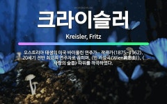 🌟크라이슬러: 오스트리아 태생의 미국 바이올린 연주가ㆍ작곡가(1875~1962). 20세기 전반 최고의 연....