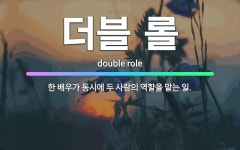 🌟더블 롤: 한 배우가 동시에 두 사람의 역할을 맡는 일. - 표준국어대사전