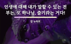 "밥 뉴하트"의 명언