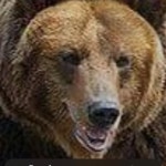 Raymond Martinez Jr (@RaymondMart3da7) Flipboard에서