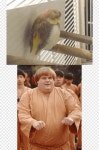 비벌리 힐스 Ninja Chris Farley YouTube Gobei, youtube, 새, 영화, 전설 ...
