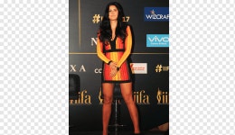 제 18 회 IIFA 어워드 국제 인도 영화 아카데미 어워드, 카트리나 카이 프 볼리우드 배우, 유명 인사,...