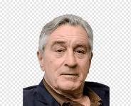 Robert De Niro Fockers를 만나다 Hollywood Sam