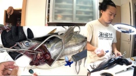 와들와들 일본 치과의사 유튜버 - DogDrip.Net 개드립