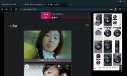 꺼무위키 왜 이러냐 - DogDrip.Net 개드립