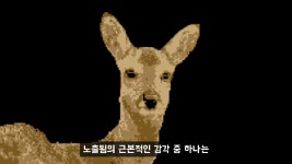 유튜버,인터넷 방송인들이 정신질환을 달고다니는 이유.jpg - DogDrip.Net 개드립