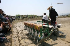 사진 - 강릉시청