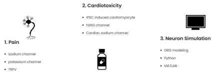 최진성 교수 | 가톨릭대학교 약학대학 | BioLab > 브만사 | BRIC