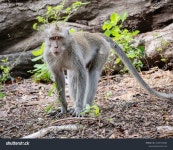 19개의 체 게바라 로열티 프리 이미지 및 스톡 사진 | Shutterstock