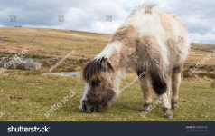 William John Hunter의 컬렉션 | Shutterstock 기고자